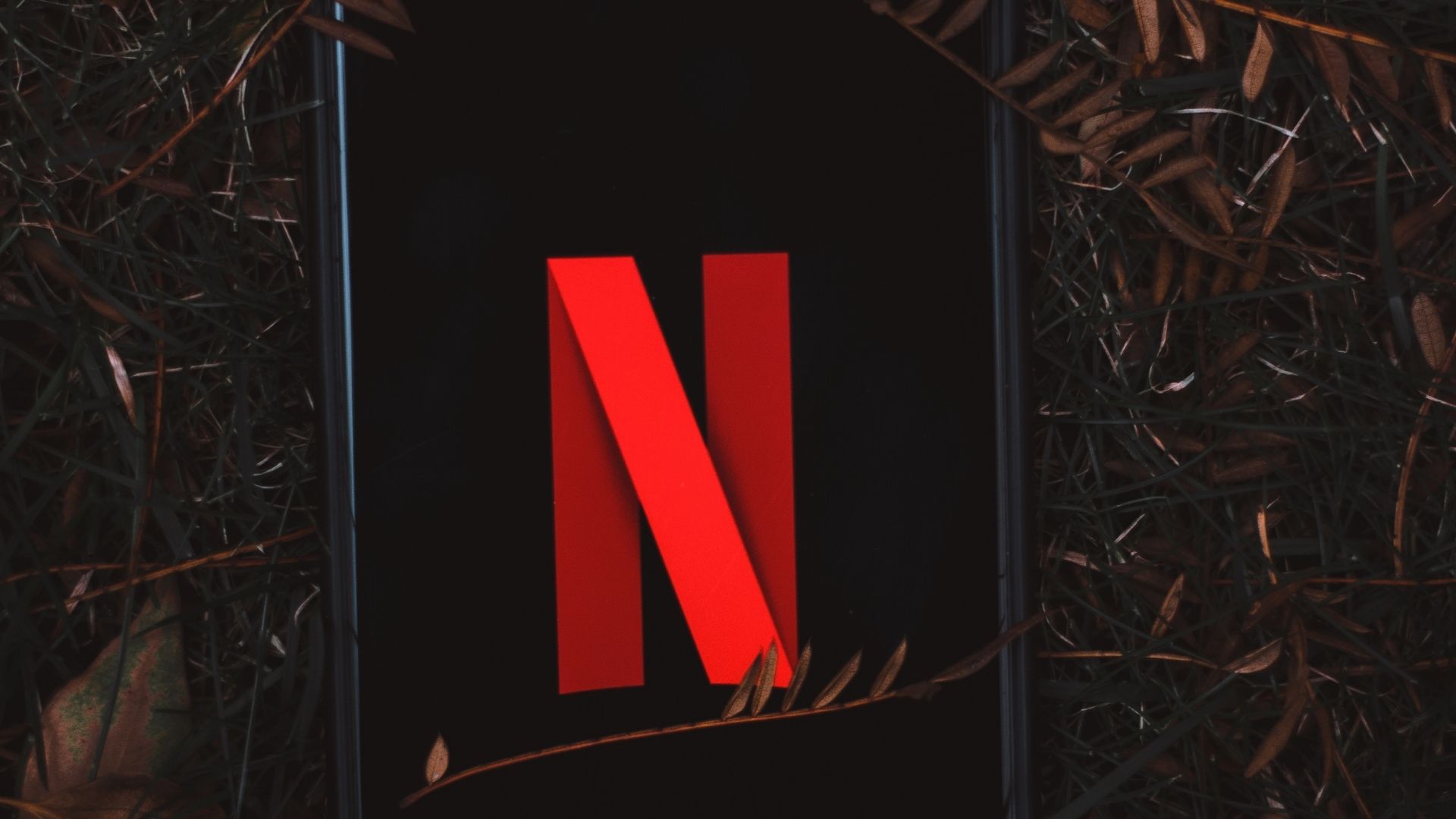 Netflix Password Generator